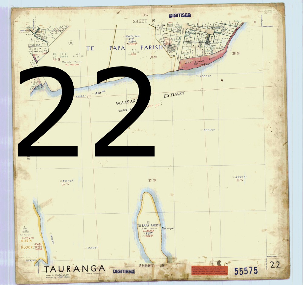 Tile 22: Survey Office map 55575