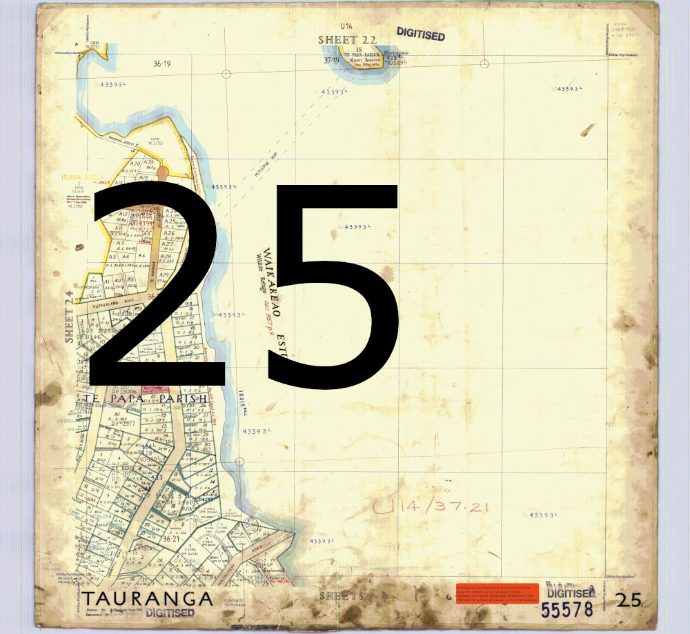 Tile 25: Survey Office map 55578