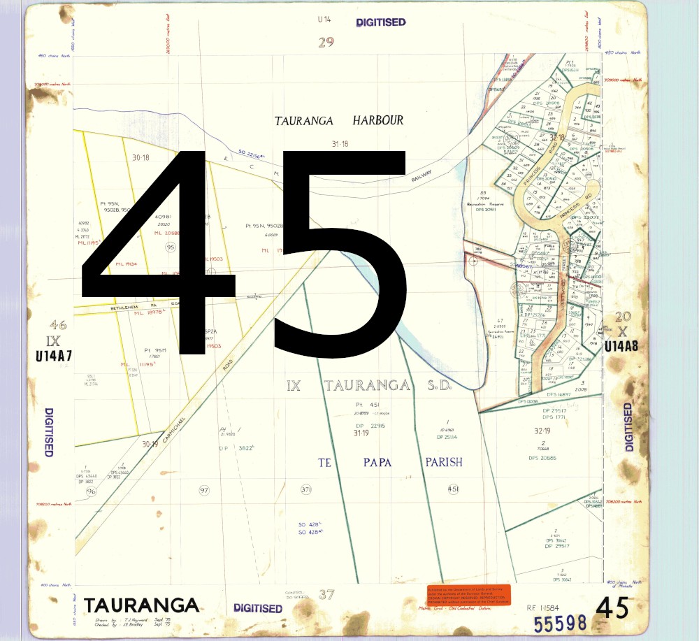 Tile 45: Survey Office map 55598