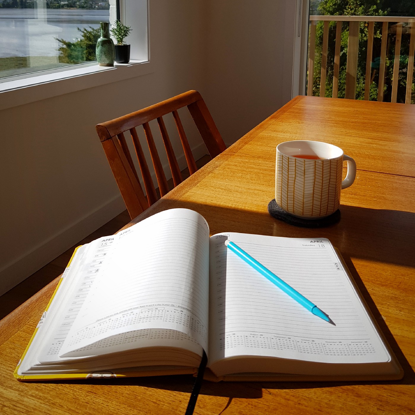 Diaries written during the COVID-19 pandemic, 22 Mar 2020-19 May 2020