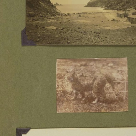 Records relating to Whakaari (White Island), 1906-c. 1961