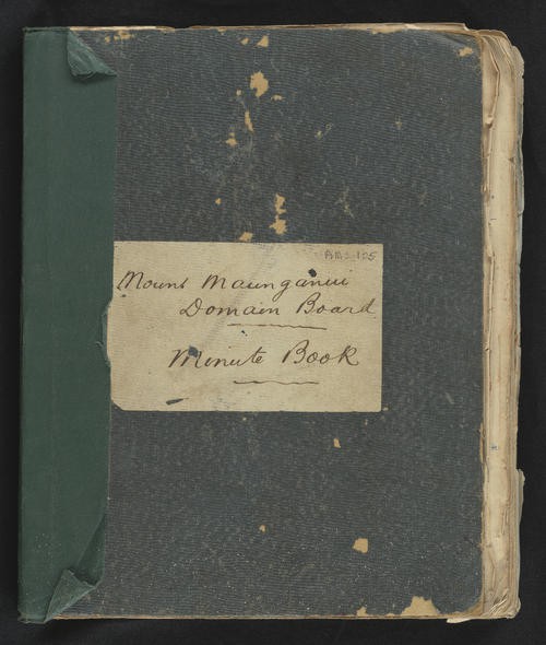 Mount Maunganui Domain Board minute book