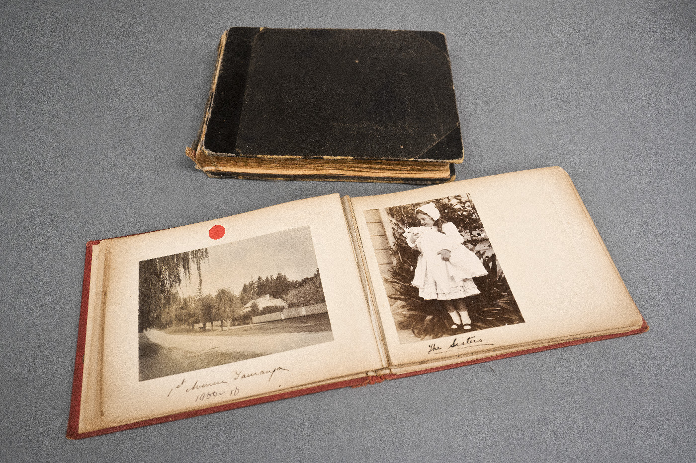 Laura Dunnage photograph albums