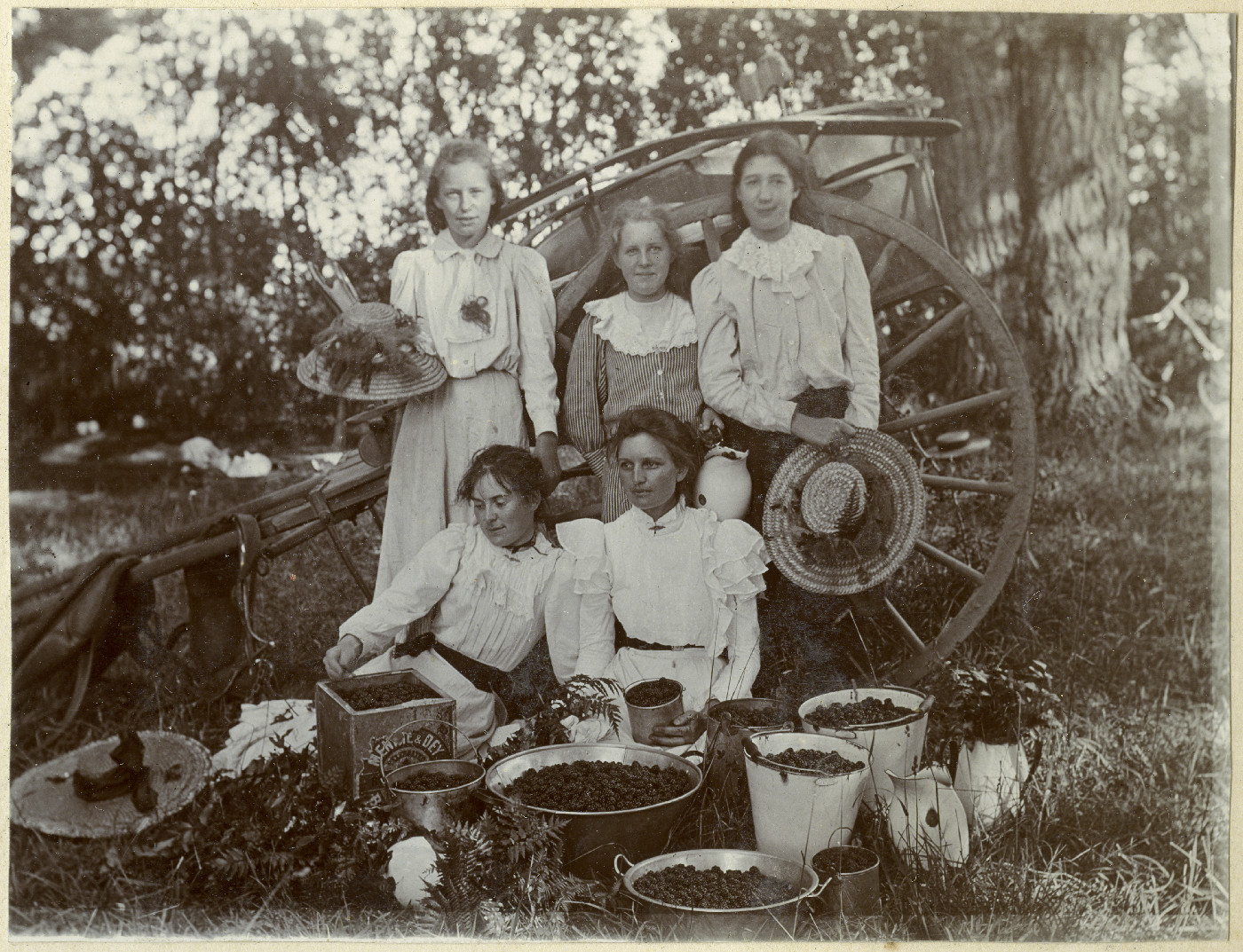 A blackberrying party, Cambridge
Ams 483/01/02/13