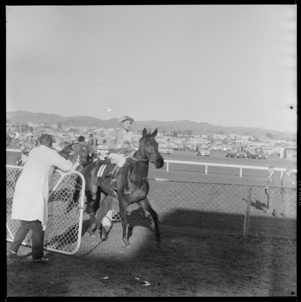 Record race day at Tauranga Race Course. Tauranga City Libraries Photo gca-22494