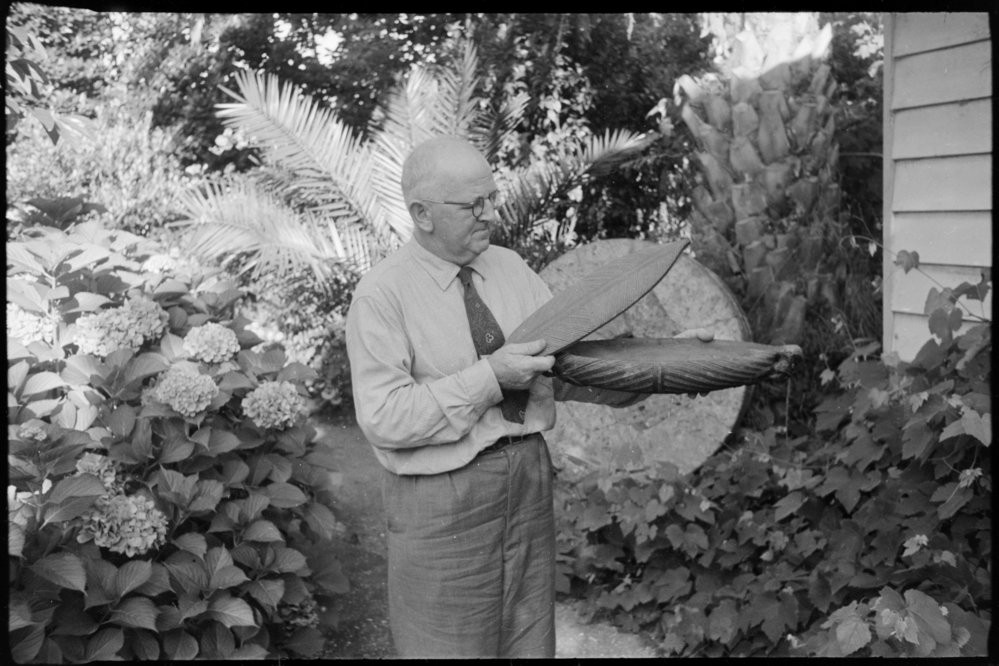 Tauranga City Libraries Photo gcc-365