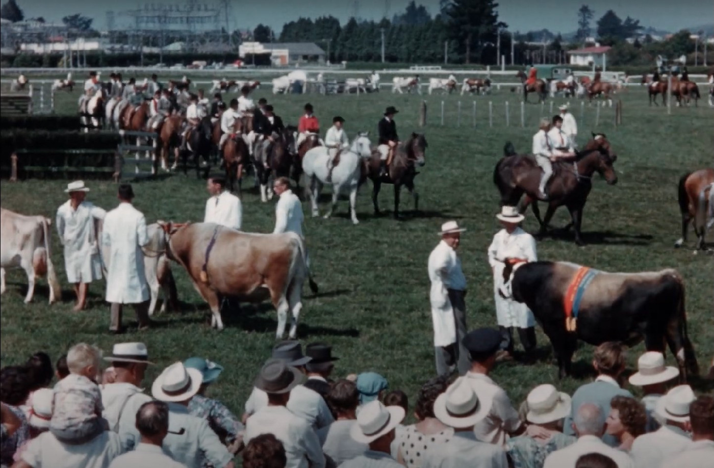 Screengrab from 3:33