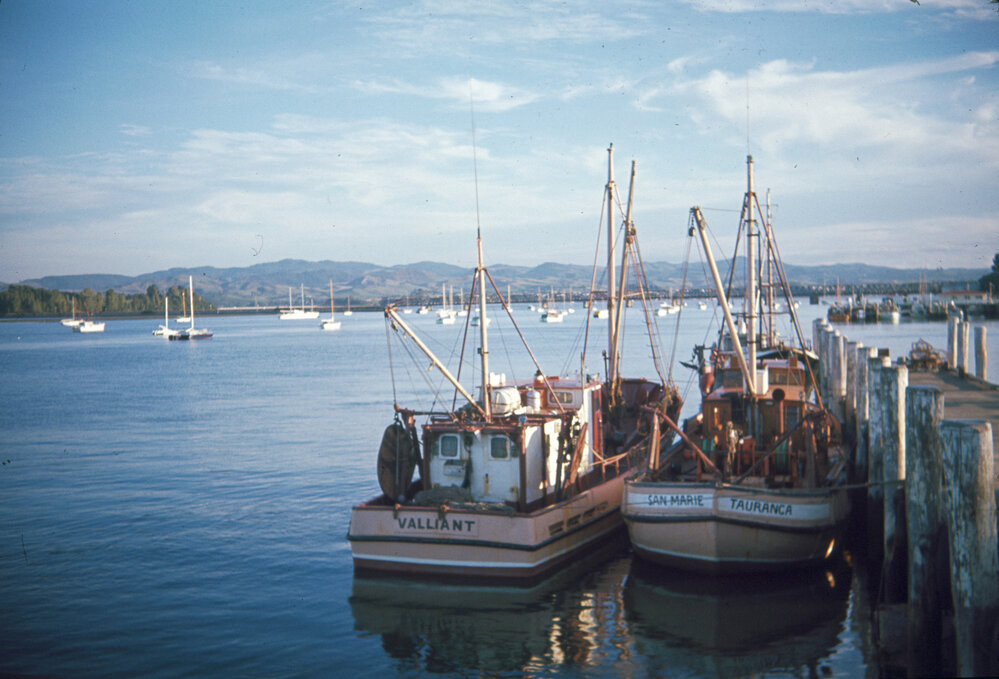 Ms 105/2/1/3 - Fishermans Wharf