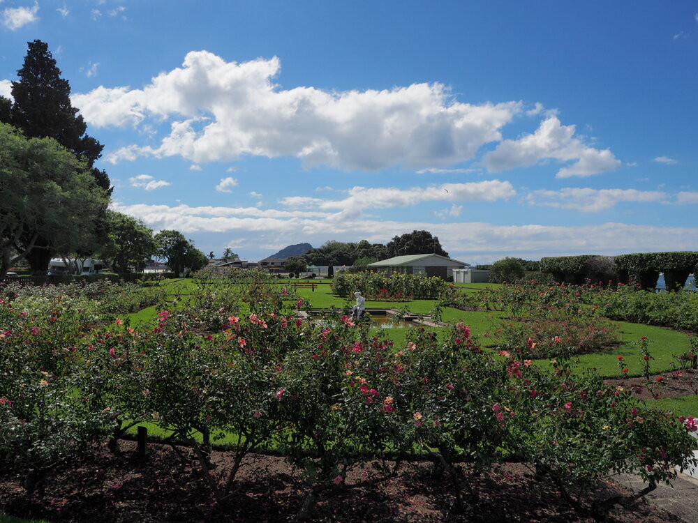 Rose Garden, Cliff Road

https://paekoroki.tauranga.govt.nz/nodes/view/103483