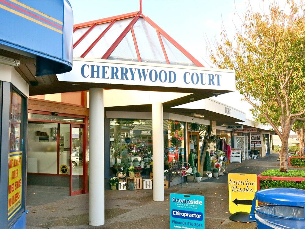 55 Cherrywood Drive, Tauranga

Te Ao Mārama - Tauranga City Libraries Photo 23-117